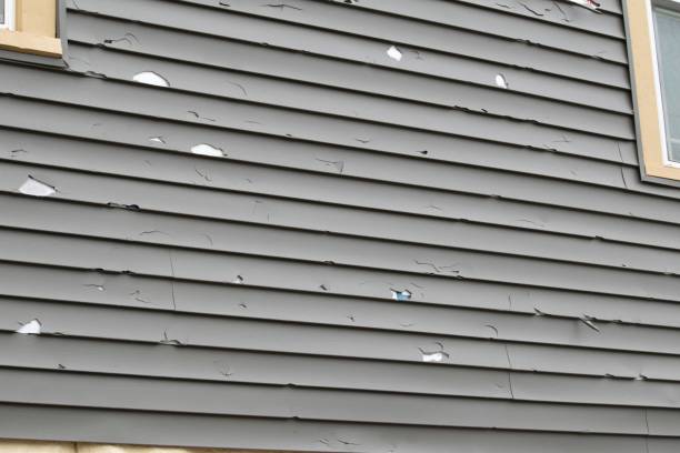 Best Garage Cleanout  in Highland, IN